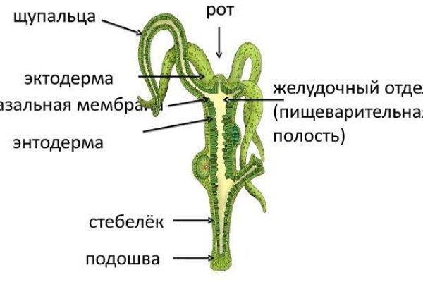 Маркет плейс кракен маркетплейс