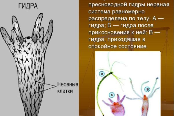 Кракен krakken15at com